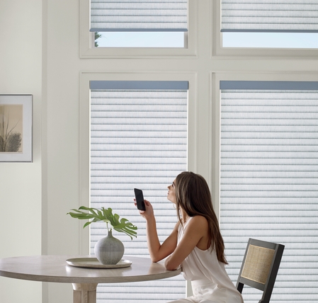 Hunter Douglas offers eco-friendly automated shading solutions